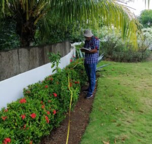 Painting job